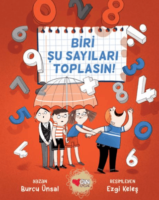 Biri Şu Sayıları Toplasın